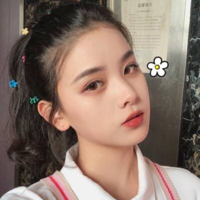 进击的帝国破解版下载